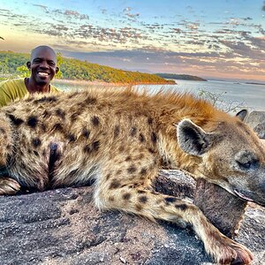 Hyena Hunting