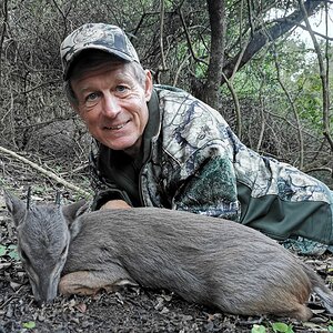 Blue Duiker Hunting Eastern Cape South Africa