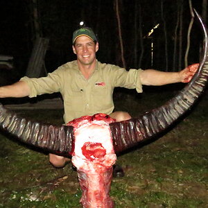 Buffalo Hunting Australia