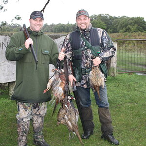 Pheasant Hunting Australia