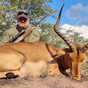 Impala Hunt Limpopo South Africa