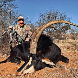 Sable Crossbow Hunting South Africa
