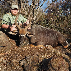 Nyala Hunt South Africa