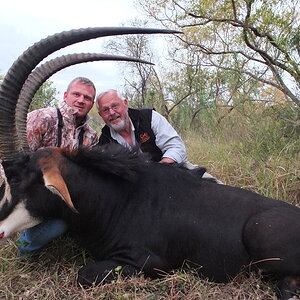 Sable Hunt Waterberg Mountains Limpopo Province Of South Africa