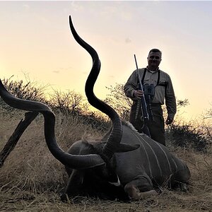 Kudu Hunt Kruger Park South Africa