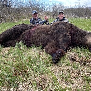 Brown Bear Hunting Alaska