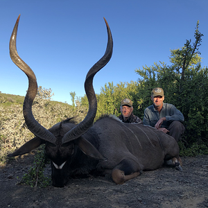 Kudu Hunt Eastern Cape South Africa