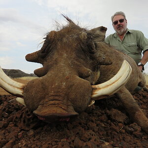 Warthog Hunting