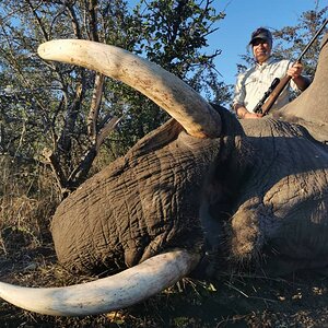 Elephant Hunting Botswana