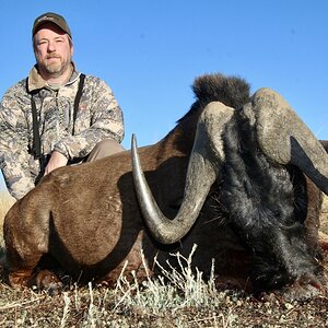 Black Wildebeest Hunting in Namibia