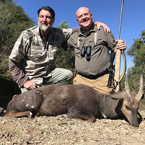 Bushbuck Hunt Eastern Cape South Africa