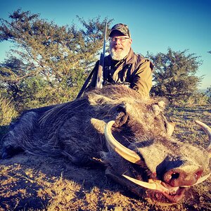 Warthog Hunting Eastern Cape South Africa