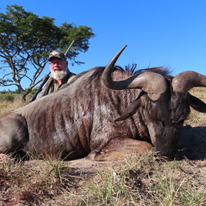 Blue Wildebeest Hunt Eastern Cape South Africa