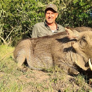 Warthog Hunt Eastern Cape South Africa