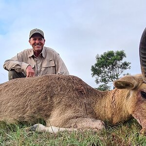 Common Reedbuck Hunt Eastern Cape South Africa