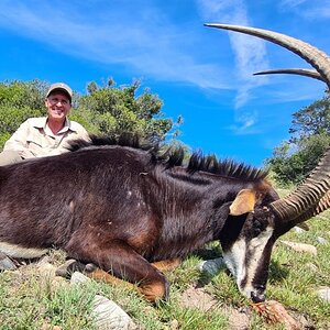 Sable Hunt Eastern Cape South Africa