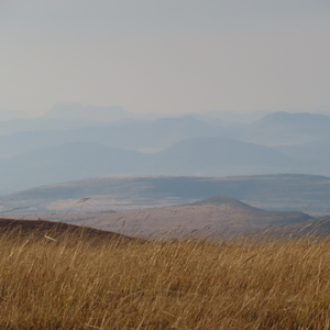 Eastern Cape South Africa Nature