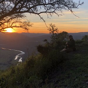 Eastern Cape South Africa Nature