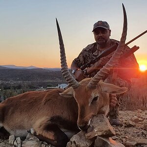 Lechwe Hunting Eastern Cape South Africa