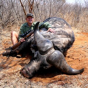 Buffalo Hunting South Africa