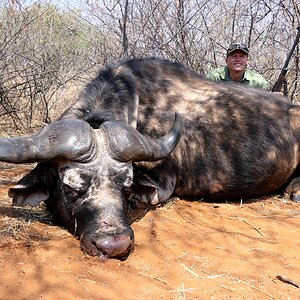 Buffalo Hunting South Africa