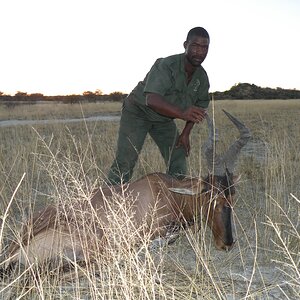 Hartebeest Hunting