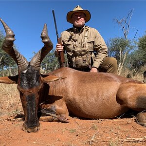 Red Hartebeest Hunting Namibia