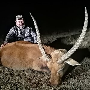 Lechwe Hunt Eastern Cape South Africa