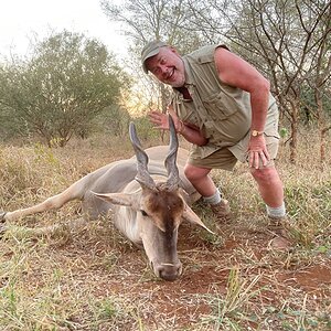 Eland Hunt Zimbabwe