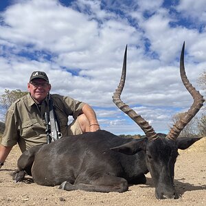 Black Impala Hunting South Africa