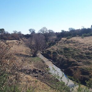 Free State Nature South Africa