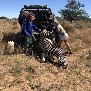 Recovering Kudu Trophy