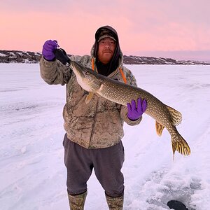 Pike Fishing