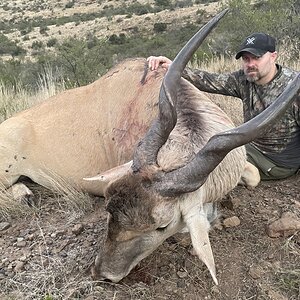 Eland Hunting Eastern Cape South Africa