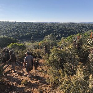 Eastern Cape Nature South Africa