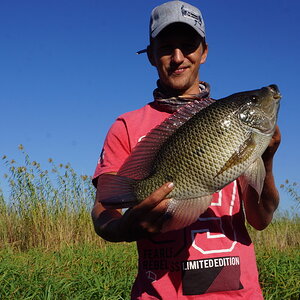 Bream Fishing Okavango Delta Botswana