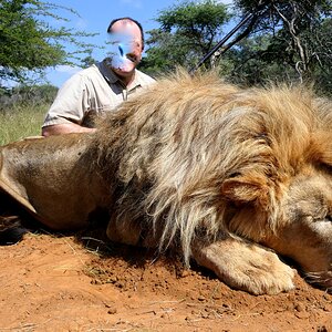 Lion Hunting South Africa | AfricaHunting.com