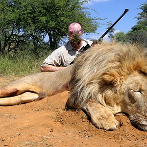 Lion Hunting South Africa | AfricaHunting.com