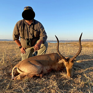 Impala Hunting Zimbabwe