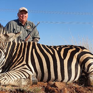 Zebra Hunting South Africa