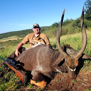 Nyala Hunting Eastern Cape South Africa