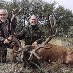 Red Stag Hunting Argentina