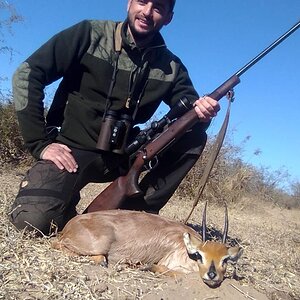 Steenbok Hunting South Africa