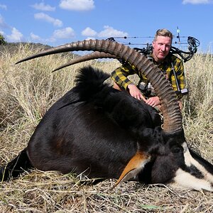 Sable Bow Hunting South Africa