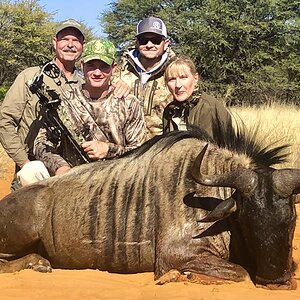 Blue Wildebeest Bow Hunting South Africa