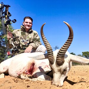 White Springbok Bow Hunting South Africa
