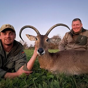 Unusual Reedbuck Hunting South Africa