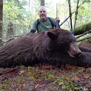 Bear Hunting Idaho