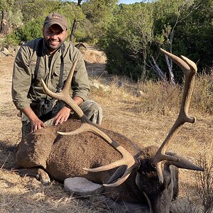 Stag Hunt in Spain