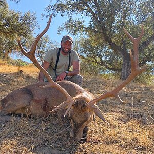 Stag Hunt in Spain